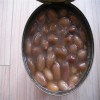 Canned Peanut Braised Tin Packed 567g