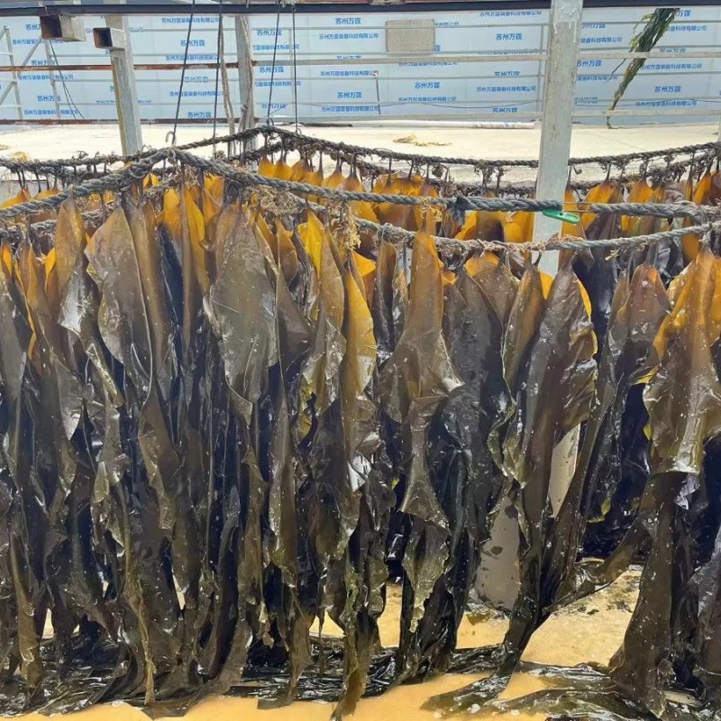 Factory Price Natural Seaweed Healthy Food Machine Dried Laminaria Strip