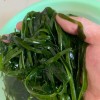 Factory Price Natural Seaweed Healthy Food Machine Dried Laminaria Strip