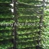 China Wholesale Dried Fruits Price Dry Kiwi Sliced Shape Kiwi