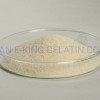 Halal Food Grade Gelatin 120 Bloom 160 Bloom Used in Food Industry