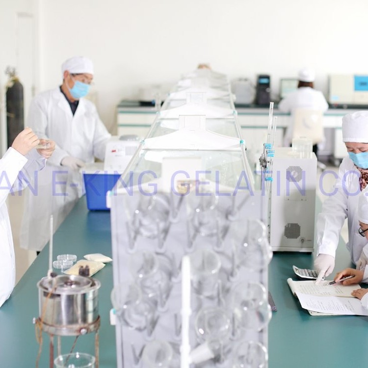 Halal Food Grade Gelatin 120 Bloom 160 Bloom Used in Food Industry