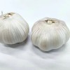 2025 New Crop Origin Chinese Pure White Garlic