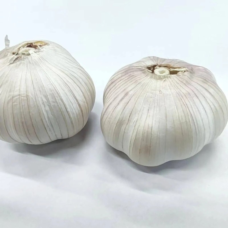 2025 New Crop Origin Chinese Pure White Garlic