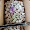 2025 New Crop Origin Chinese Pure White Garlic