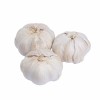 2025 New Crop Origin Chinese Pure White Garlic