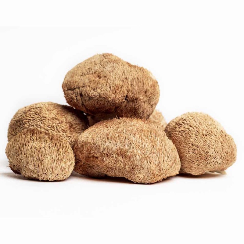 High Purity Lion's Mane Mushroom Granules - Bulk Factory Supply