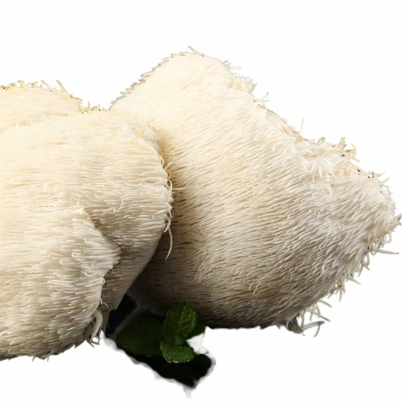 High Purity Lion's Mane Mushroom Granules - Bulk Factory Supply