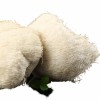 High Purity Lion's Mane Mushroom Granules - Bulk Factory Supply