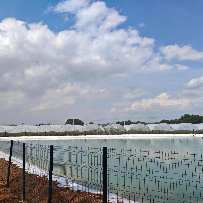 Multipurpose Sturdy Good Quality Hot-DIP Galvanized Steel Pipes Multi-Span Film Greenhouse