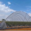 Wholesale Strong High Performance Durable Steel Structure Greenhouse with Side Ventilation