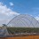 Wholesale Strong High Performance Durable Steel Structure Greenhouse with Side Ventilation