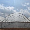 Wholesale Strong High Performance Durable Steel Structure Greenhouse with Side Ventilation