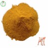 Corn Meal Corn Gluten Meal Animal Feed