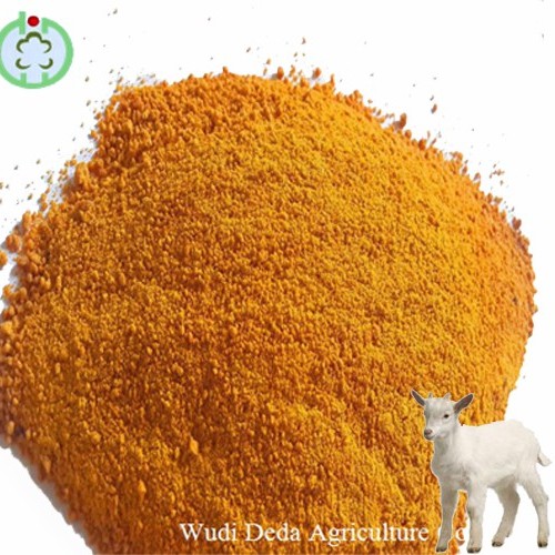 Corn Meal Corn Gluten Meal Animal Feed