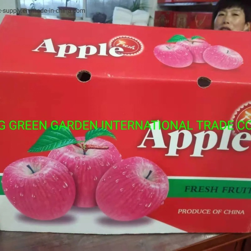 2021grade 1 Red FUJI Apple Sweet and Juicy Original Apple Base Fruit