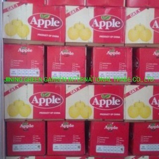 2021grade 1 Red FUJI Apple Sweet and Juicy Original Apple Base Fruit