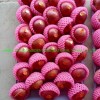 2021grade 1 Red FUJI Apple Sweet and Juicy Original Apple Base Fruit