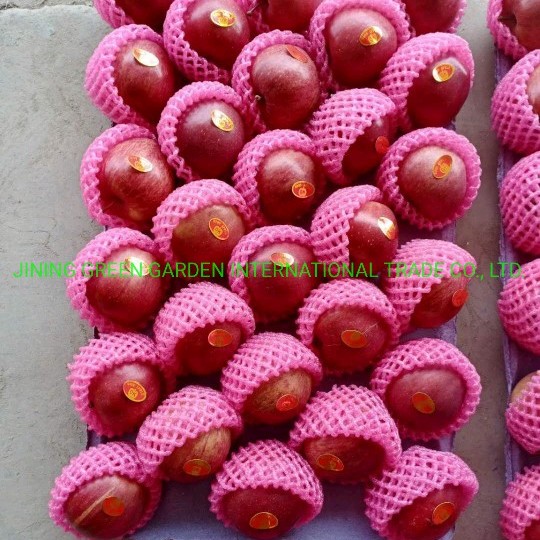 2021grade 1 Red FUJI Apple Sweet and Juicy Original Apple Base Fruit
