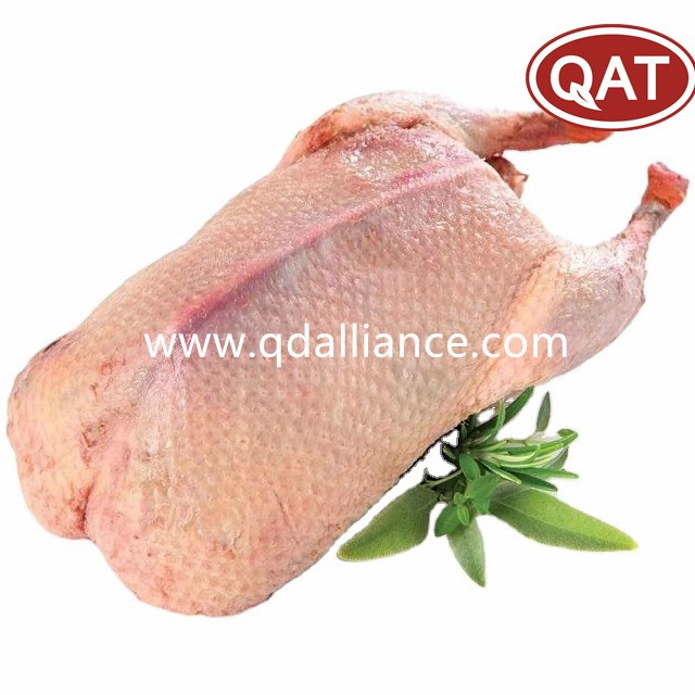 Premium Halal Frozen Duck Griller for Worldwide Distribution