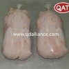 Premium Halal Frozen Duck Griller for Worldwide Distribution