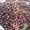 Pure Organic Vietnamese Plum Harvest 100% Natural Cultivation Type