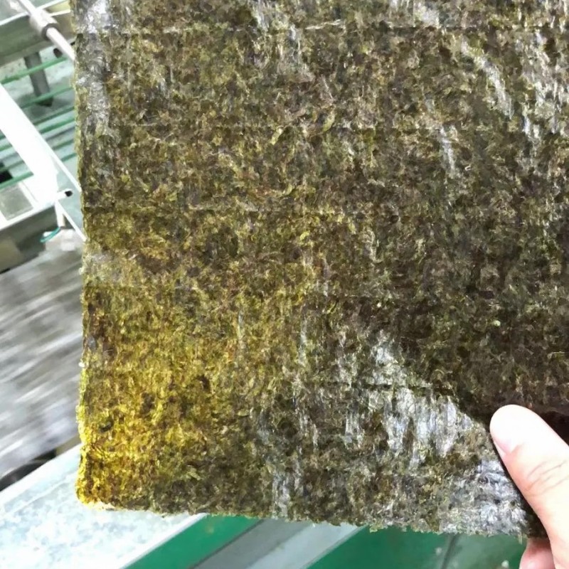 OEM Brand Wholesale Bulk Japanese Halal Nori Roasted Seaweed for Sushi
