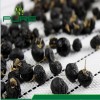 Wholesale Bulk Organic Black Goji Berries 100% Natural Sun-Dried High Anthocyanin Superfood