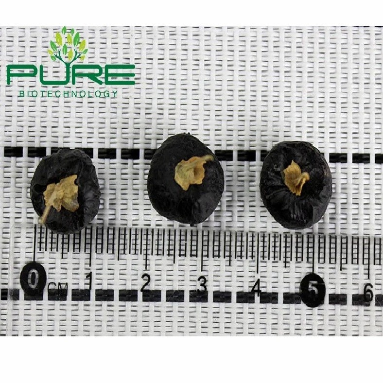 Wholesale Bulk Organic Black Goji Berries 100% Natural Sun-Dried High Anthocyanin Superfood