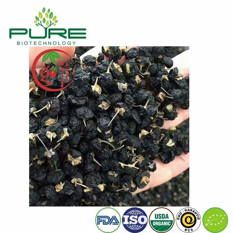 Wholesale Bulk Organic Black Goji Berries 100% Natural Sun-Dried High Anthocyanin Superfood