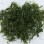 Wholesale Factory Price Dried Chuka Wakame Cut Stem Seaweed