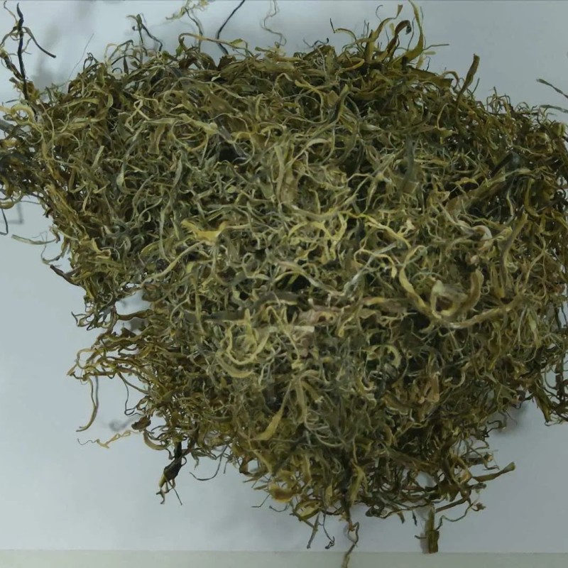 Wholesale Factory Price Dried Chuka Wakame Cut Stem Seaweed