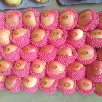 Paper Bagged Red Gala Apples