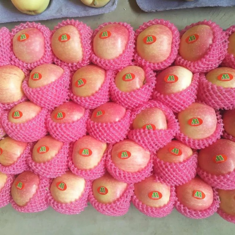 Paper Bagged Red Gala Apples