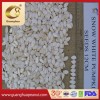 High Quality Shine Skin Pumpkin Seeds From Factory