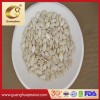 High Quality Shine Skin Pumpkin Seeds From Factory
