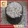 High Quality Shine Skin Pumpkin Seeds From Factory