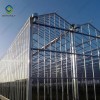 China Factory Price Professional Glass Greenhouse