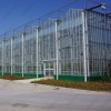 China Factory Price Professional Glass Greenhouse