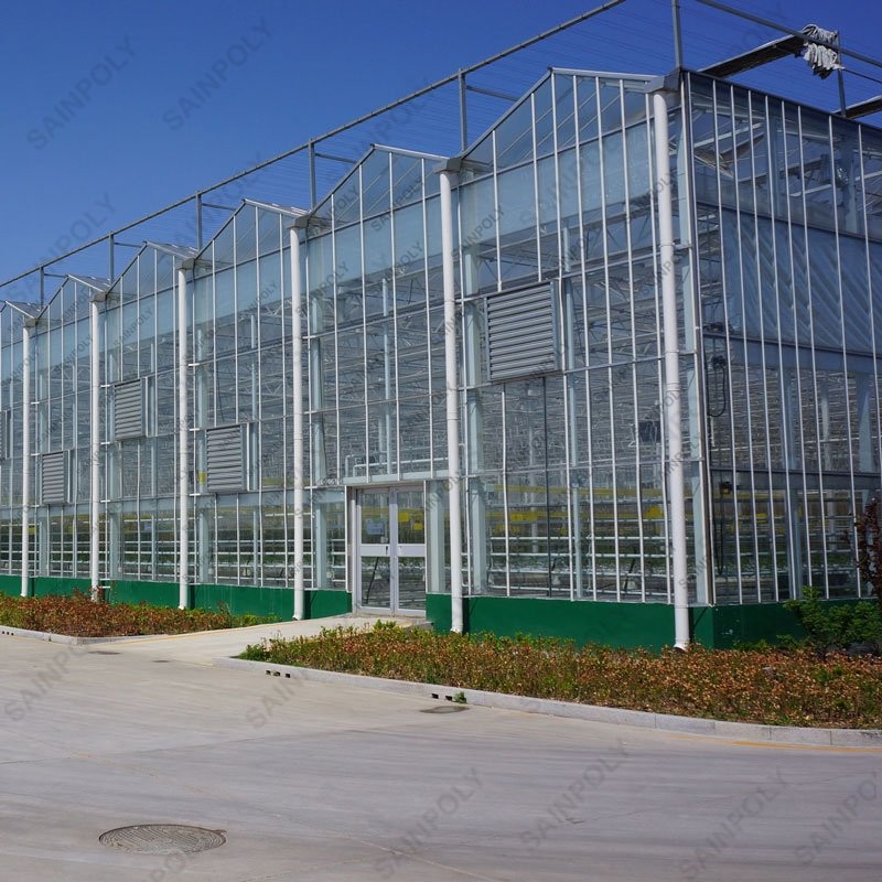 China Factory Price Professional Glass Greenhouse