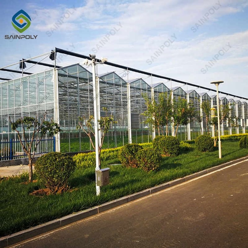 China Factory Price Professional Glass Greenhouse