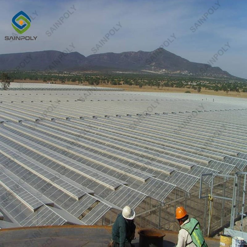 China Factory Price Professional Glass Greenhouse