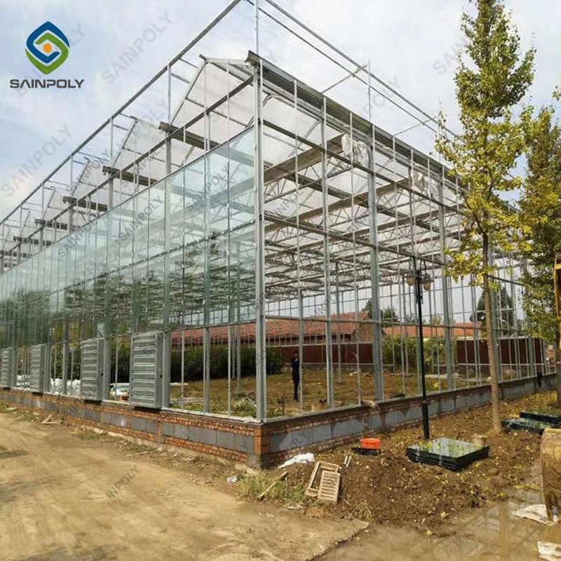 China Factory Price Professional Glass Greenhouse