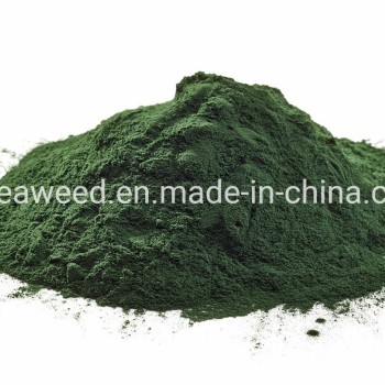 Hot Sale Health Organic Food Dark Green 100% Pure Spirulina Powder