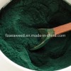 Hot Sale Health Organic Food Dark Green 100% Pure Spirulina Powder