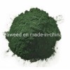 Hot Sale Health Organic Food Dark Green 100% Pure Spirulina Powder