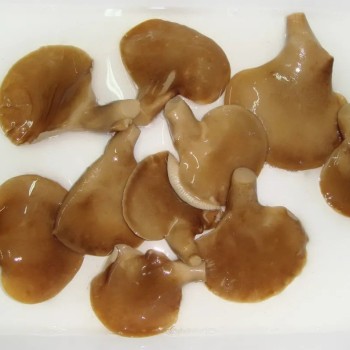 Abalone Mushroom in Glass Jar