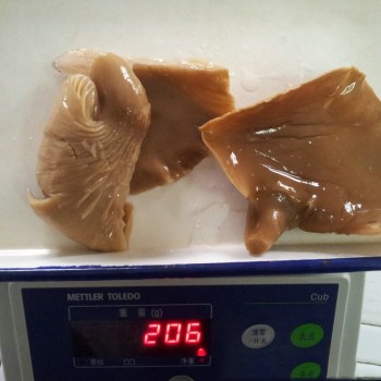 Abalone Mushroom in Glass Jar