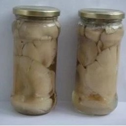 Abalone Mushroom in Glass Jar