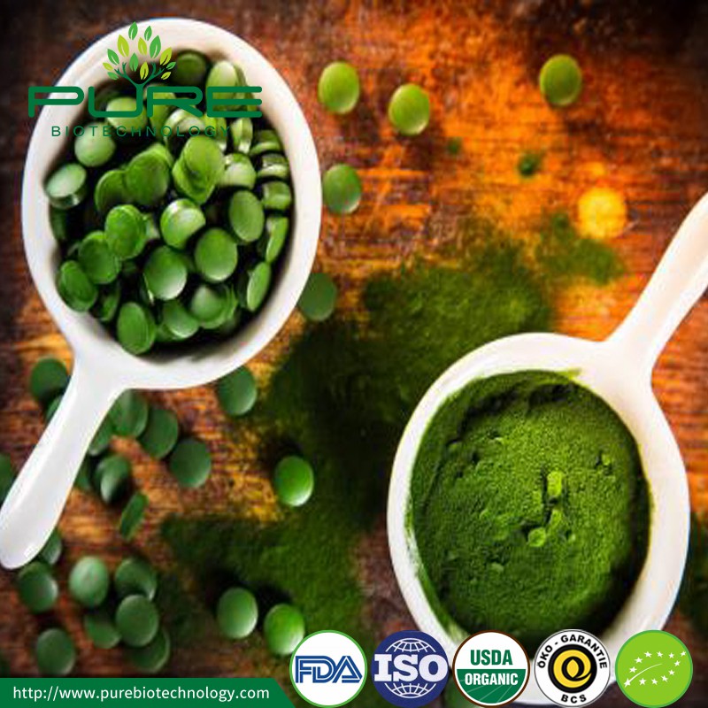 Pure Chlorella Superfood Powder for Ultimate Health Boost